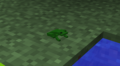 Frog 1.png