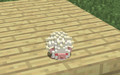 Albino Hedgehog.png